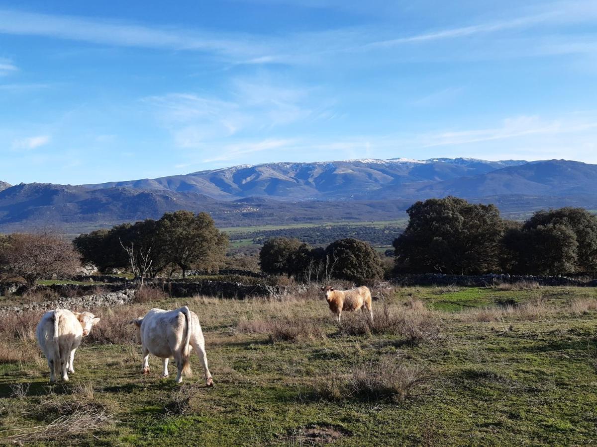 Casa Rural Mi Descanso Valdefuentes de Sangusin Екстер'єр фото